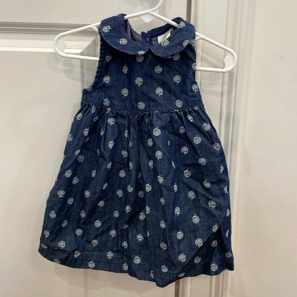 Hanna Andersson Denim Embroidered Dress w/ Peter Pan Collar & Matching Bloomers